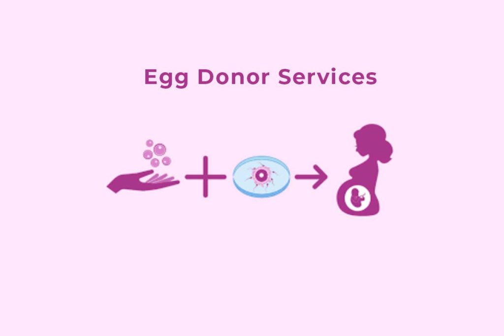Egg Donor Services - Birth Help Hospital Guntur