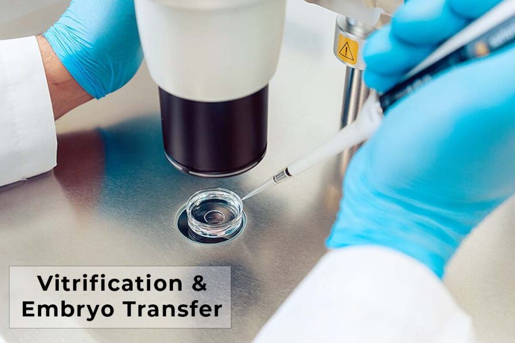 Vitrification And Embryo Transfer - Birth Help Hospital